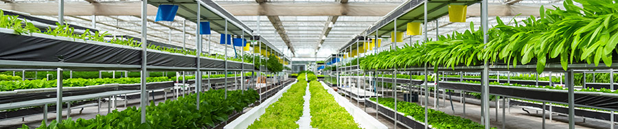 邹城市高宗智智能温室技术有限公司