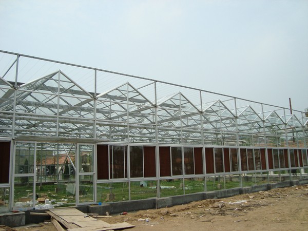 玻璃温室大棚蔬菜防控原理