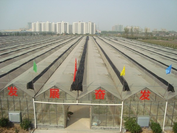 连栋温室大棚有哪些优势